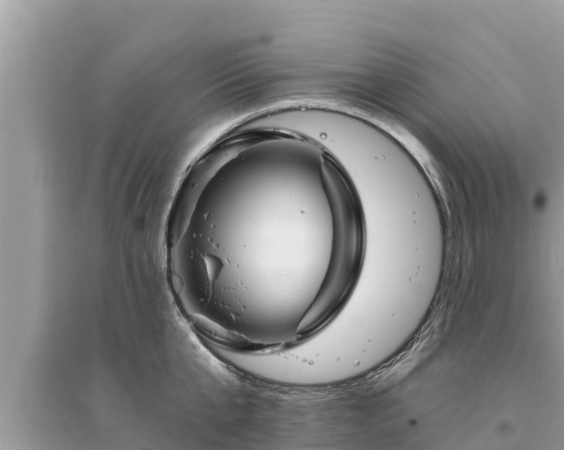 X0000095550807200712211408