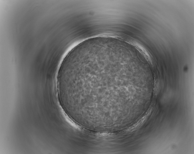 X0000095550808200712211408