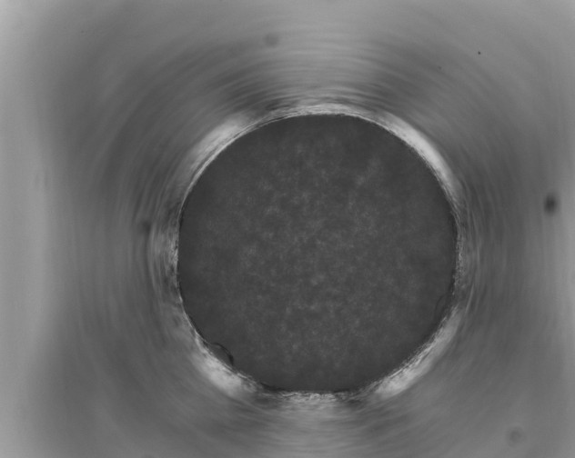 X0000095550809200712211408