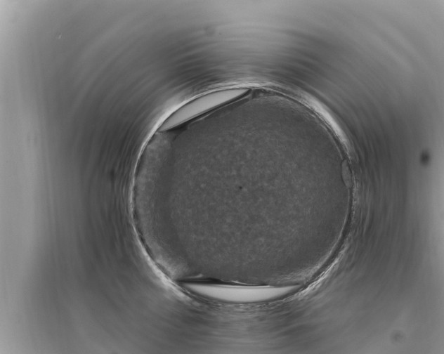 X0000095550810200712211408