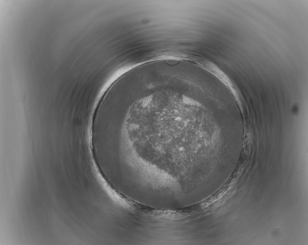 X0000095550811200712211408