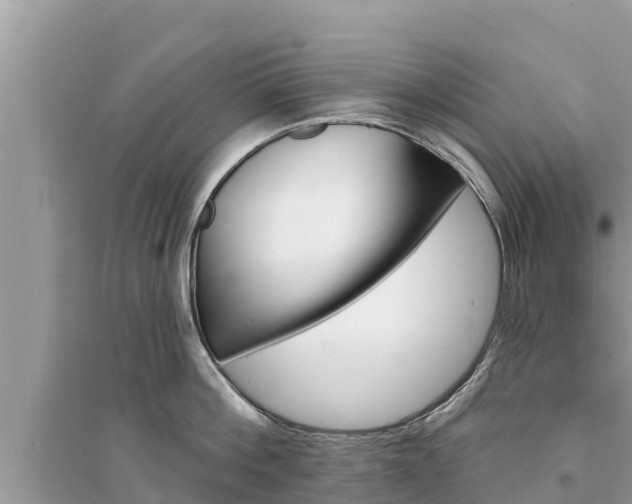 X0000095550812200712211408