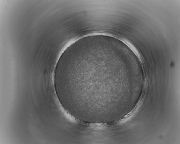 X0000095550813200712211408