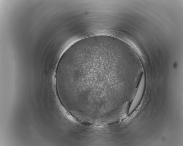 X0000095550814200712211408