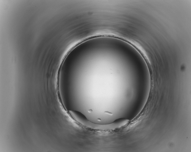 X0000095550815200712211408