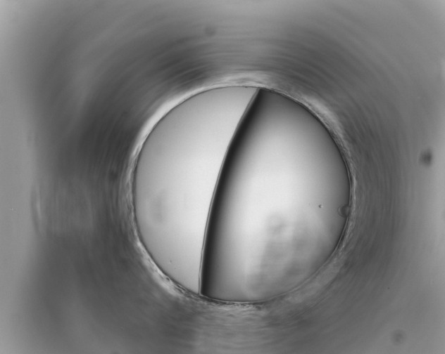 X0000095550816200712211408