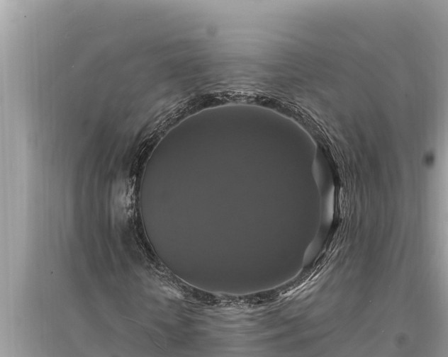 X0000095550818200712211407