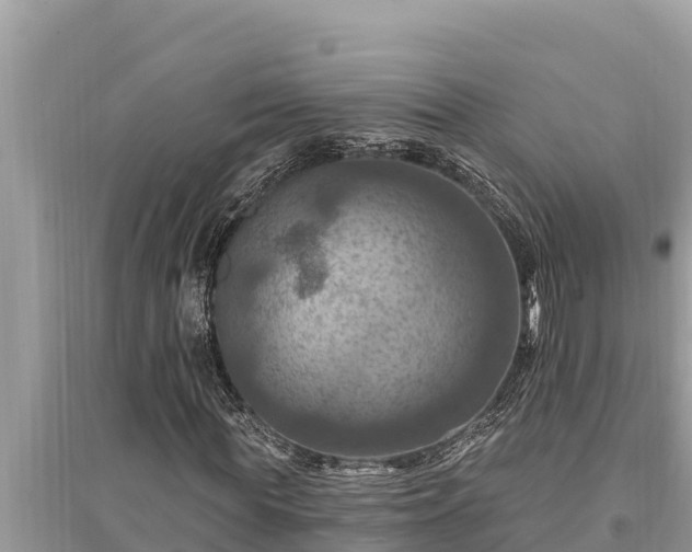 X0000095550819200712211407