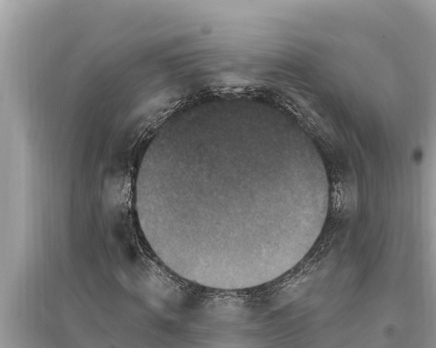 X0000095550820200712211407