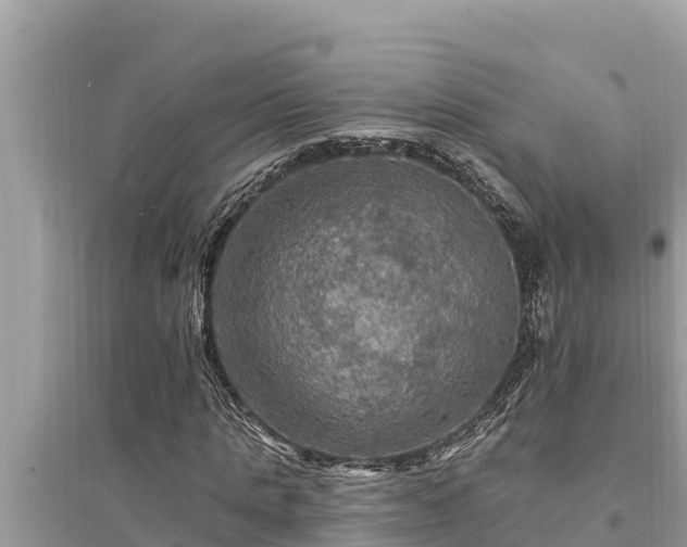 X0000095550821200712211407