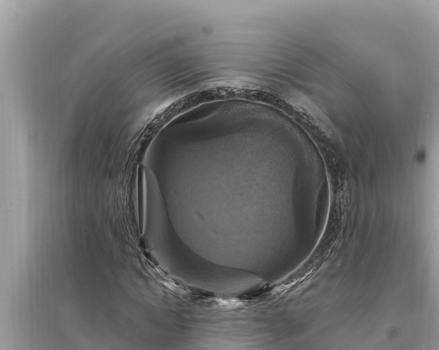 X0000095550822200712211407