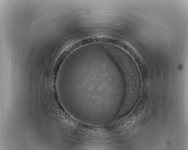 X0000095550823200712211407