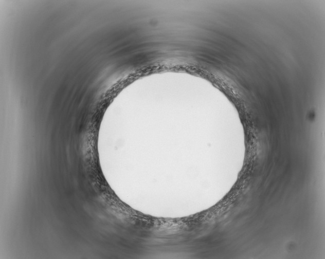 X0000095550824200712211407