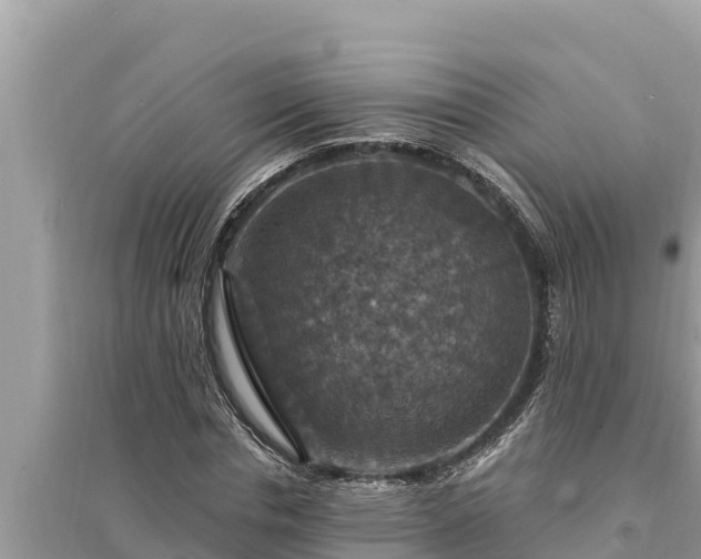 X0000095550826200712211407