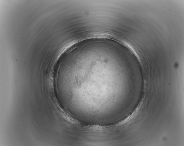 X0000095550827200712211407