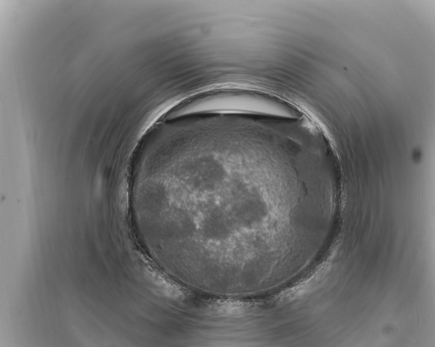 X0000095550829200712211407