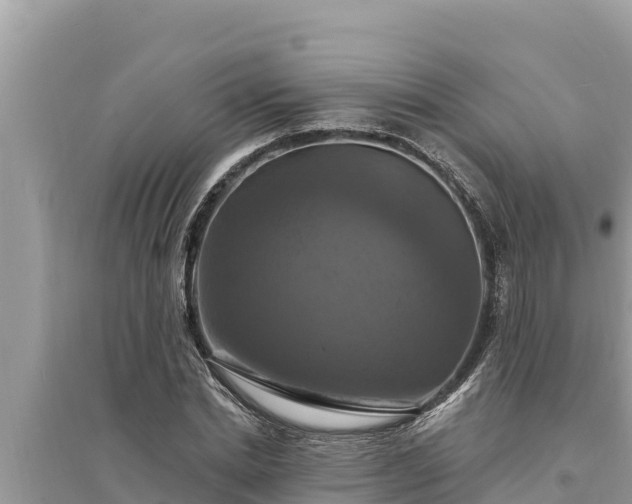 X0000095550830200712211407