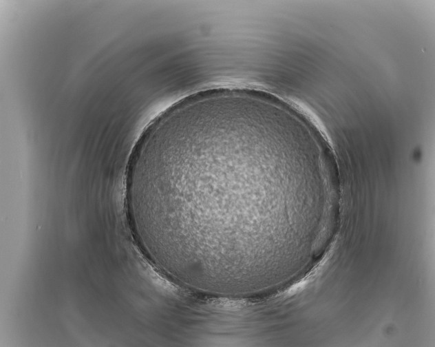 X0000095550831200712211408