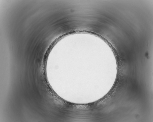 X0000095550832200712211408