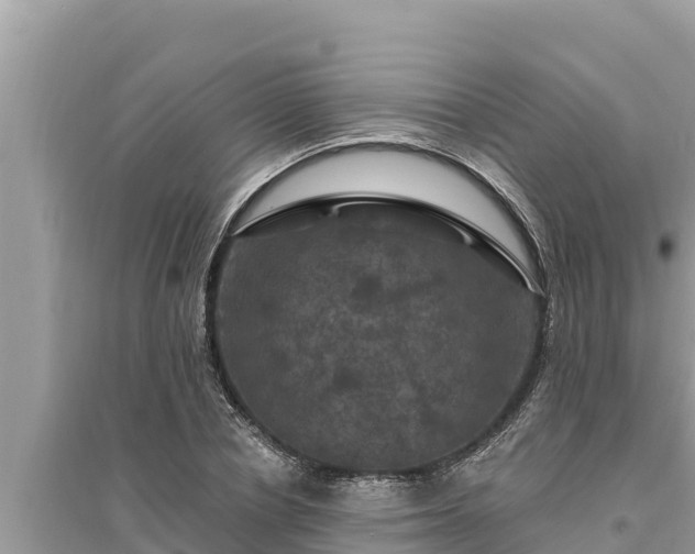 X0000095550834200712211408