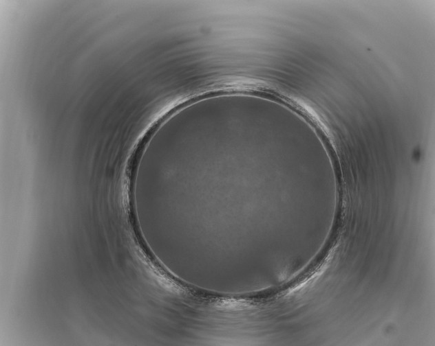 X0000095550835200712211408