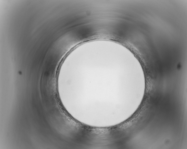 X0000095550836200712211408