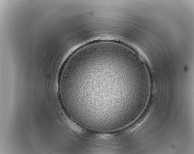 X0000095550837200712211408