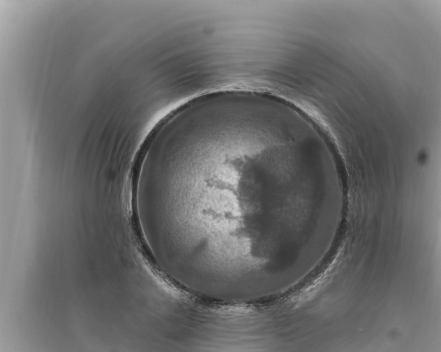 X0000095550838200712211408