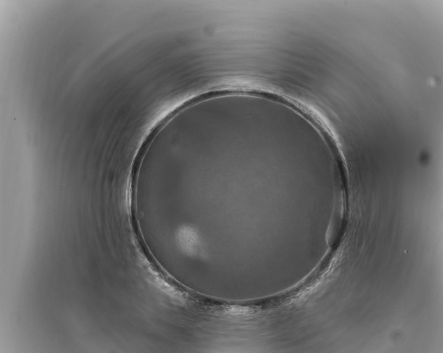 X0000095550839200712211408