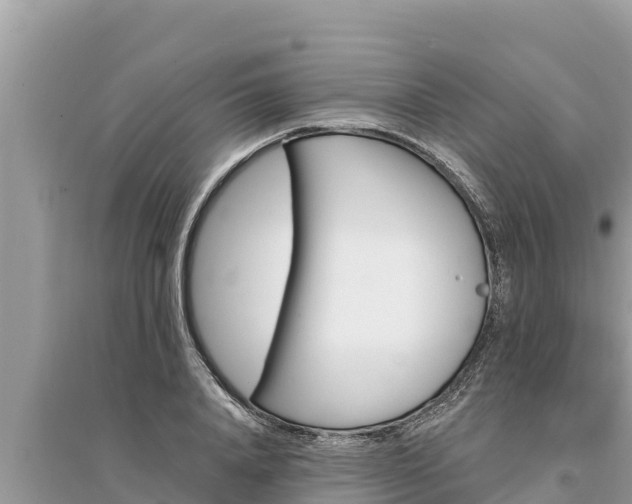 X0000095550840200712211408