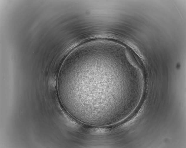 X0000095550841200712211408