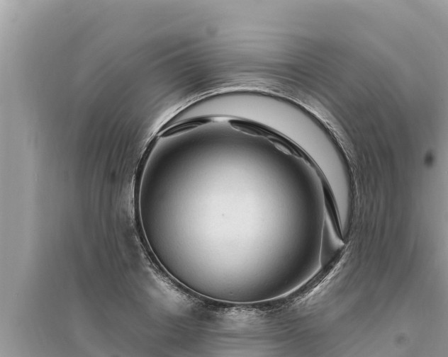 X0000095550842200712211408