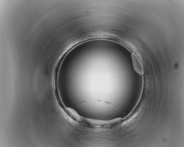 X0000095550843200712211408