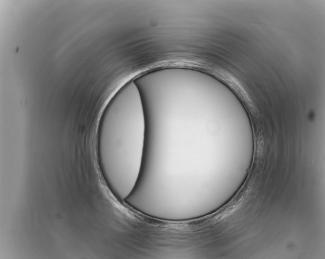 X0000095550844200712211408