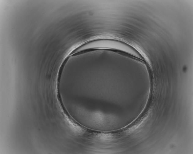 X0000095550845200712211408