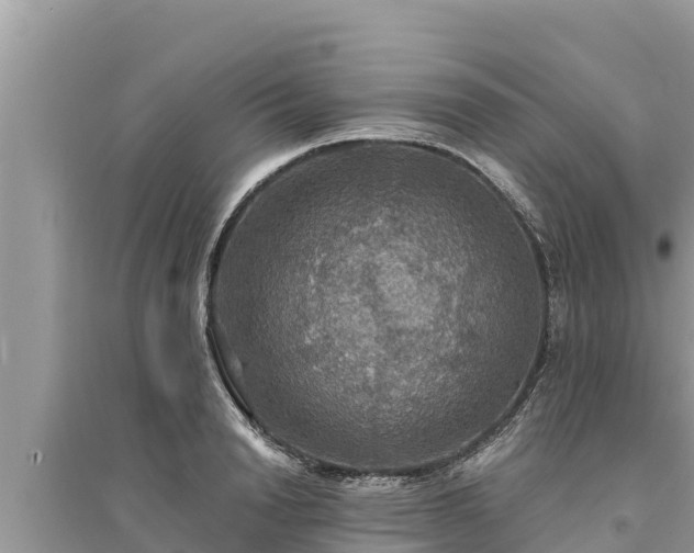 X0000095550846200712211408