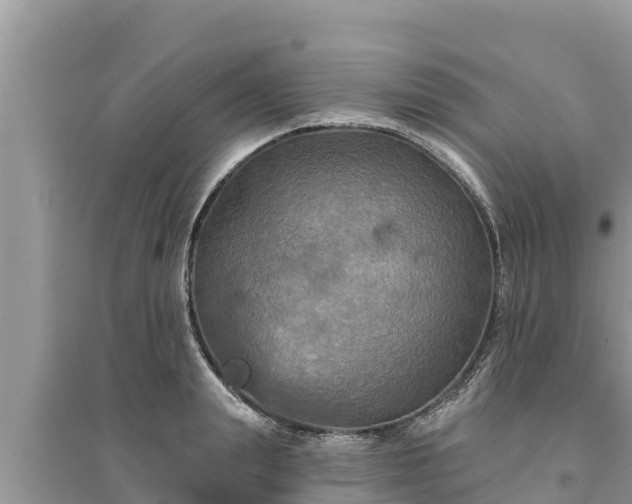 X0000095550847200712211408