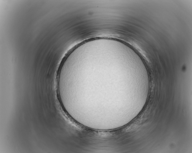 X0000095550848200712211408