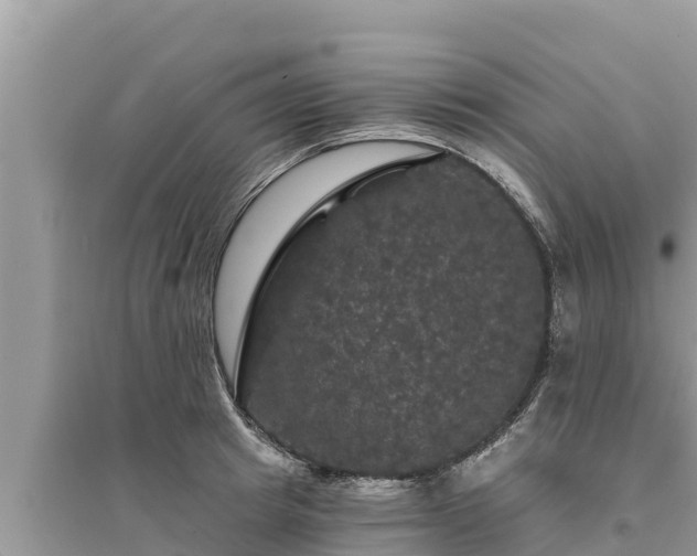 X0000095550849200712211408