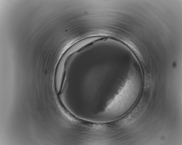 X0000095550850200712211408