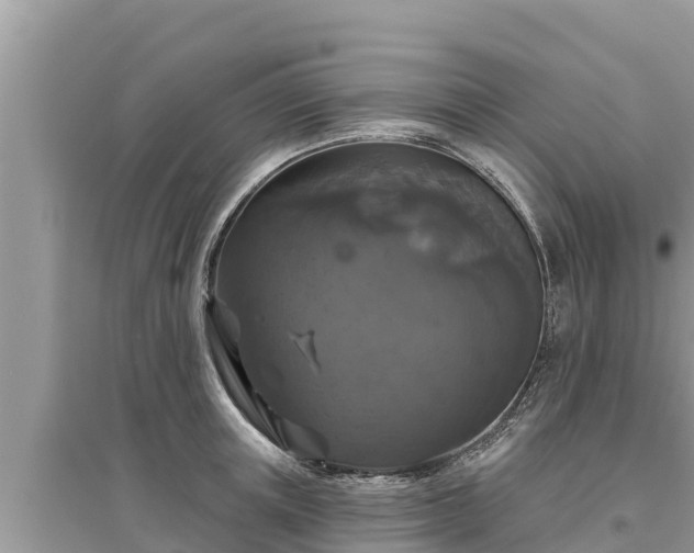 X0000095550851200712211408