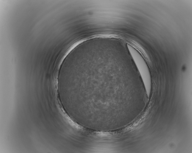 X0000095550852200712211408