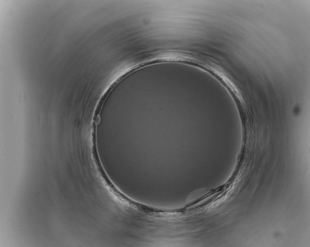 X0000095550853200712211408