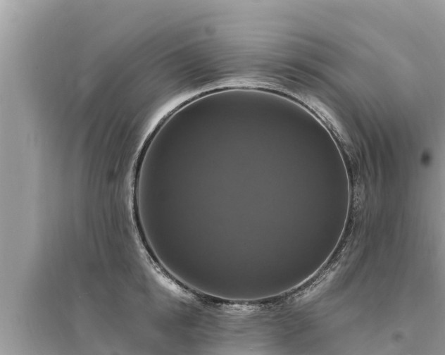 X0000095550854200712211408