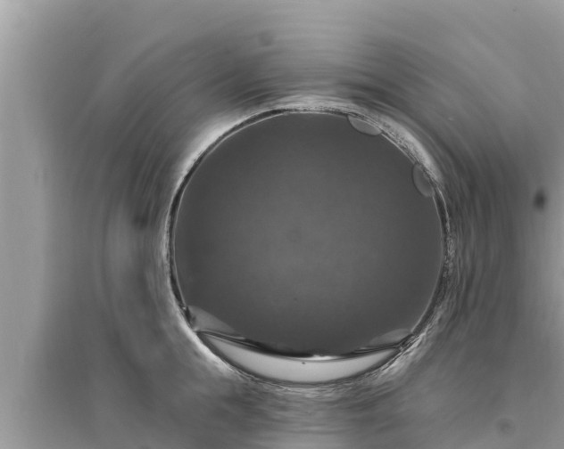 X0000095550855200712211408