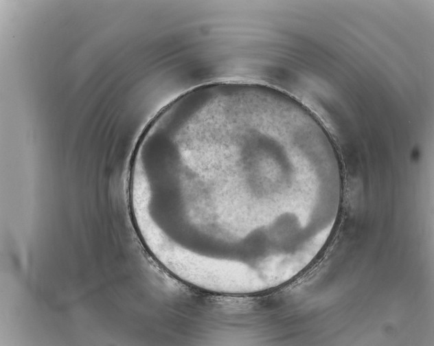 X0000095550856200712211408