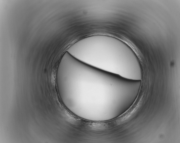 X0000095550857200712211408