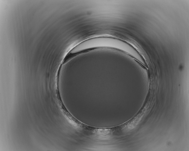 X0000095550858200712211408