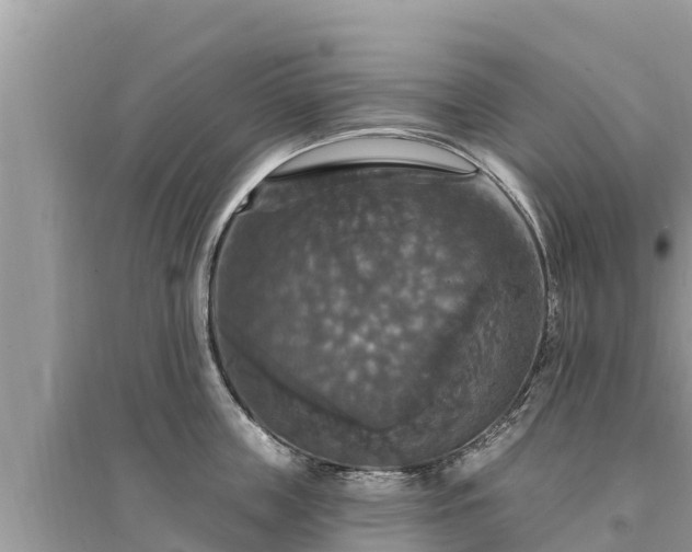 X0000095550859200712211408