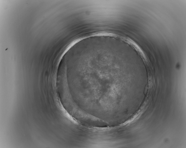 X0000095550860200712211408